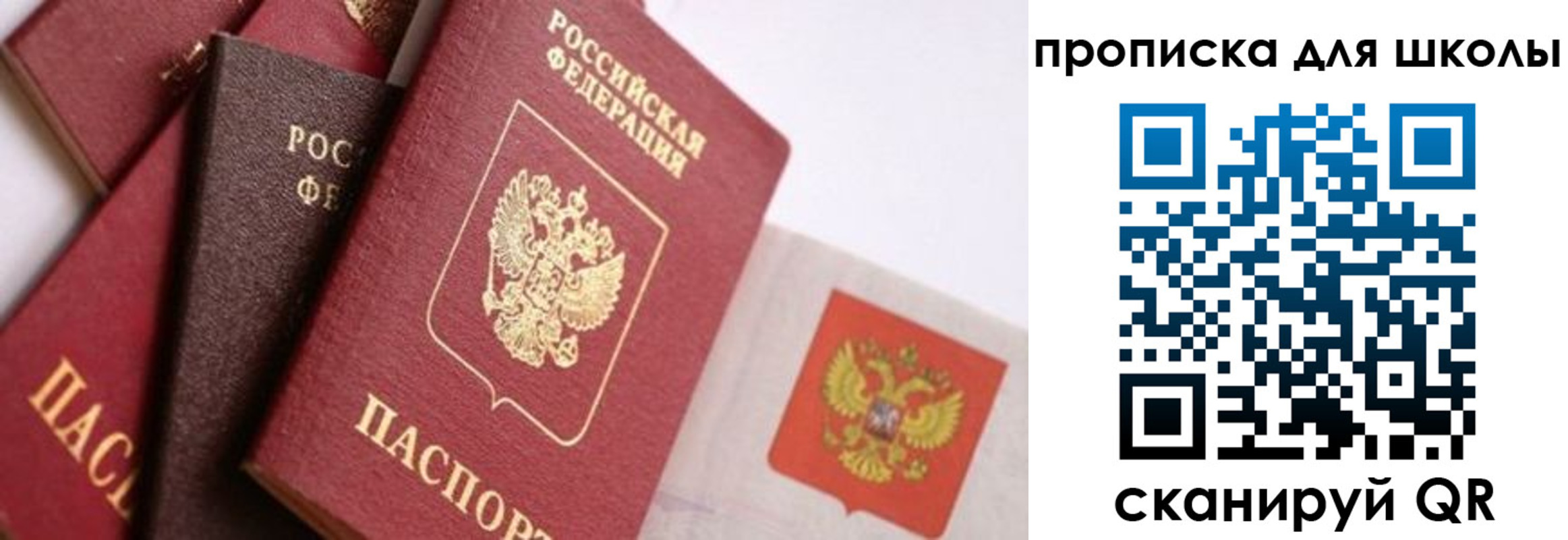 прописка поиск в Луге